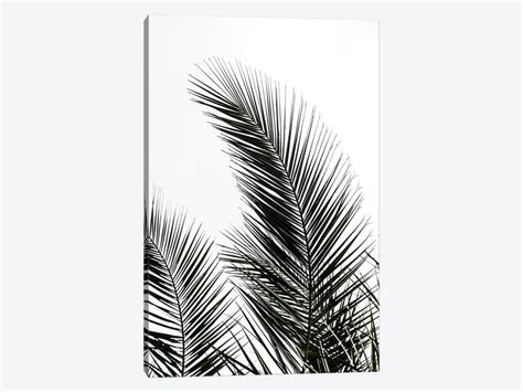 Palm Leaves I Canvas Art By Mareike Böhmer Icanvas