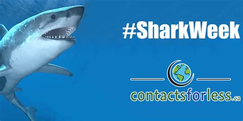 10 Cool Facts About Sharks For Shark Week Contactsforlessca