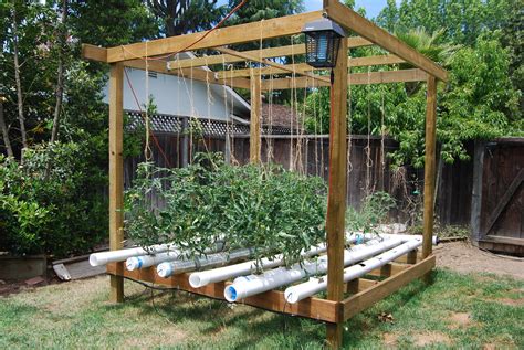 An ebb and flow hydroponic system works as follows. Hydroponic Tomatoes | Kathy Kimpel | Flickr