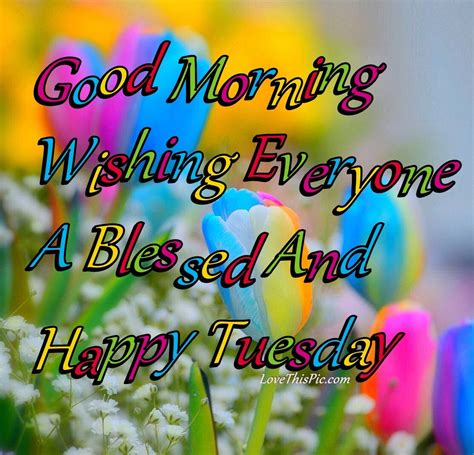 Good Morning Everyone Have A Blessed Tuesday Pictures Photos And