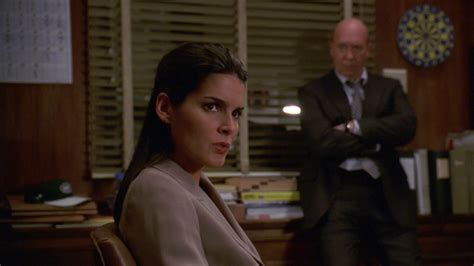 What Has Angie Harmon Been Up To Since Law And Order