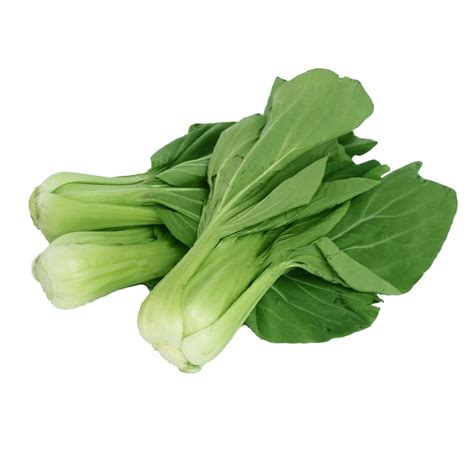 Pechay Taiwan Bok Choy 1 Palengke Delivery Online Safe Select