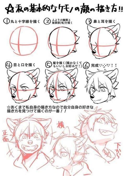 🐾how To Draw Kemono Character Japan Furry Anime Manga Guide🐾 Anime Amino
