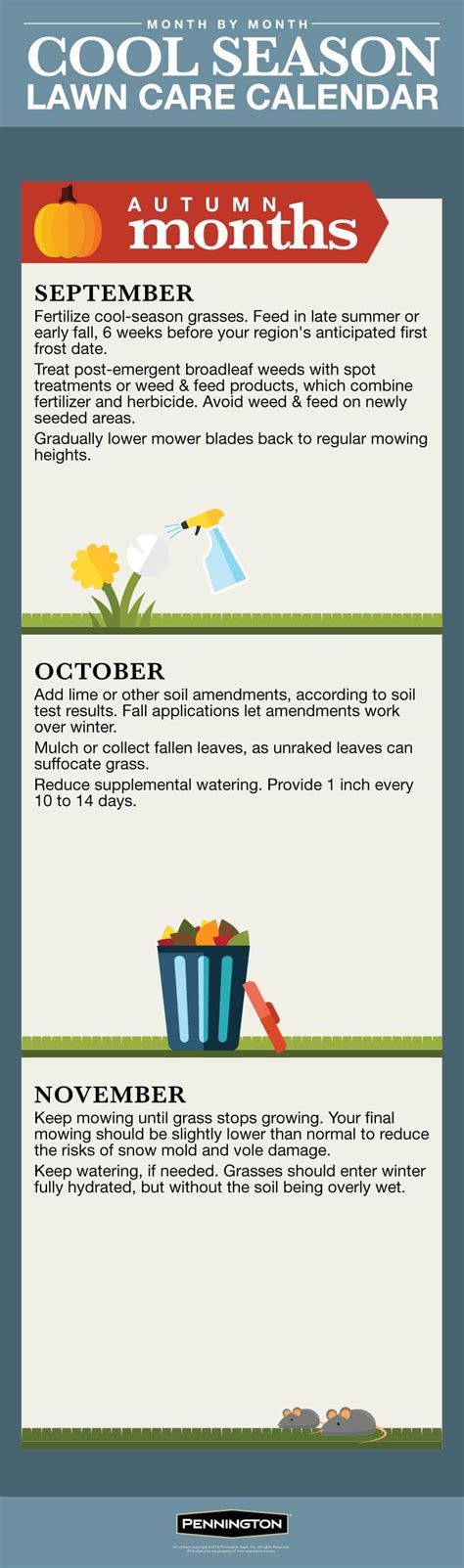 Lawn Care Calendar For Cool Season Lawns Infographic