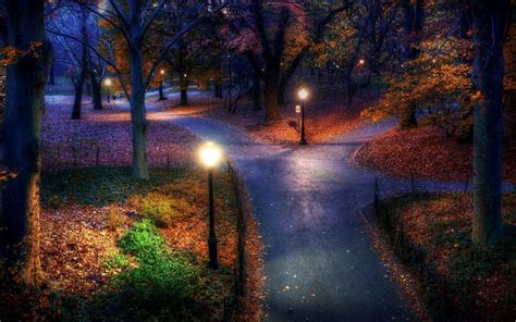 Three Paths In The Park Night Landscape