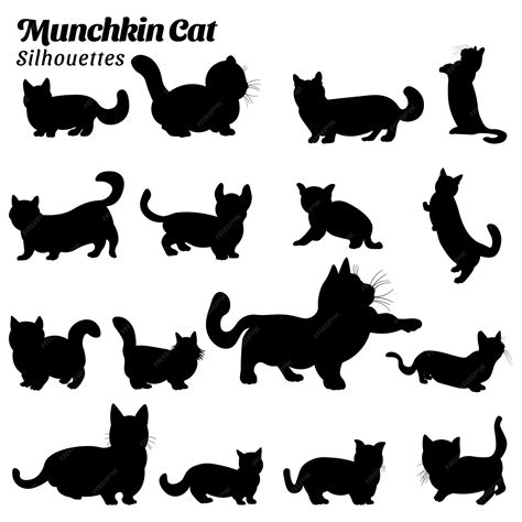 Premium Vector | Munchkin cat silhouette vector illustration collection