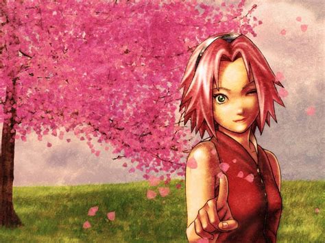 Haruno Sakura Haruno Sakura Wallpaper 34402263 Fanpop