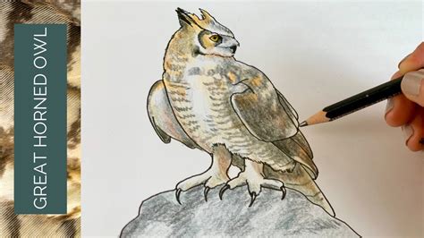 This Great Horned Owl Drawing Is Much Easier Than You Think Youtube