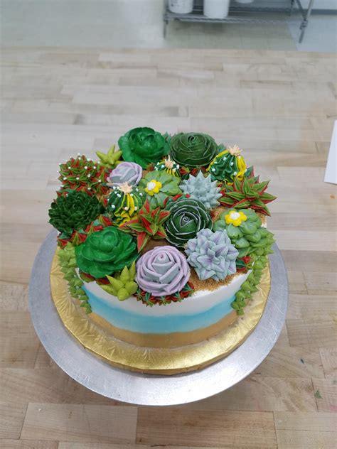 My First Buttercream Succulent Cake I Ever Made It Was For My Friends Golden Birthday And She