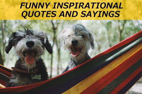 100 Funny Inspirational Quotes And Sayings Letterpile