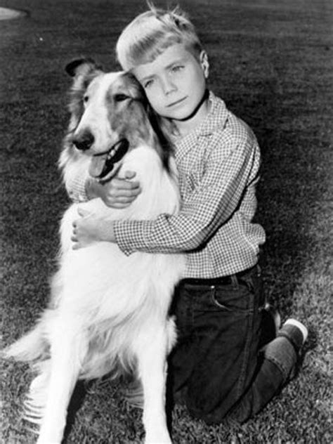 Lassie Classic Tv Shows Pinterest