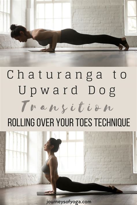 Chaturanga To Upward Dog Transition Journeys Of Yoga