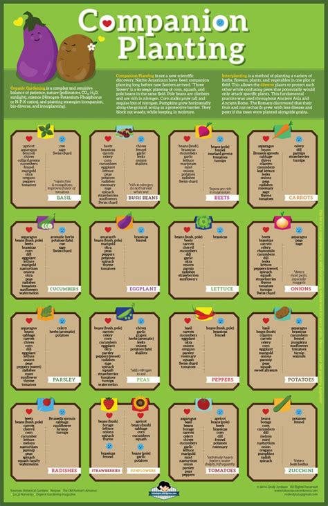 Direct Downloadcolorful Companion Planting Chart 1st Edition
