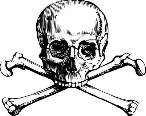 Skull And Crossbones Free Stock Photo Public Domain Pictures