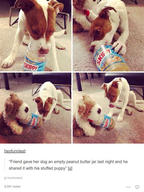 14 Hilarious Tumblr Posts About Dogs To Make Your Day