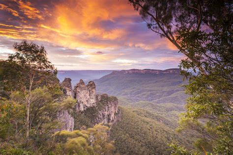 Fully Inclusive Blue Mountains Private Tour Inc Scenic World