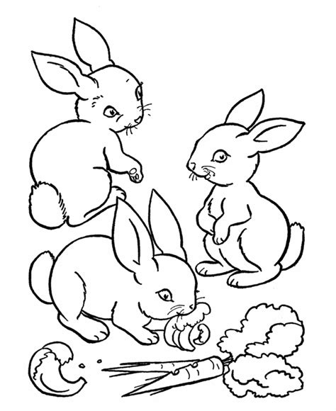 Mewarnai Kelinci Dengan Crayon Gambar Terbaru Hd