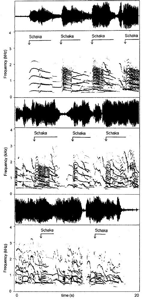 Time Series And The Spectrogram Of A Chorus The Upper Graphs Represent