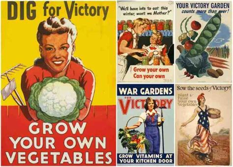 Its The Perfect Time To Bring Back Victory Gardens
