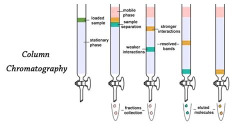 바이오 제약회사 Chromatography 정의 용어 원리 종류 실제 실험 방법 등에 대한 공부 네이버 블로그