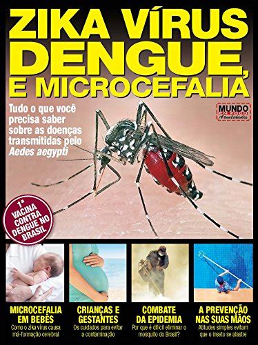 Zika Vírus Dengue E Microcefalia Tudo O Que Você Precisa Saber Sobre
