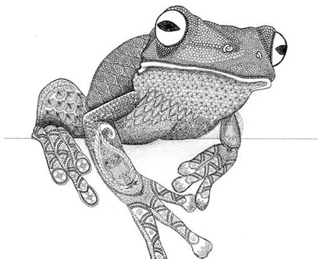 Tree Frog Zentangle Animal Art By Augustarray On Etsy Zentangle