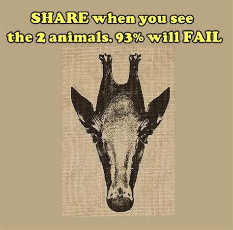 Can You See The 2 Animals Funny Illusions Brain Teasers Pictures