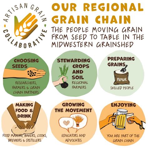 Our Regional Grain Value Chain Illustrated The Land Connection