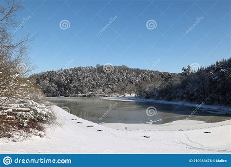 A Frozen Lake On A Clear Winter Day Stock Photo Image Of Light Birch