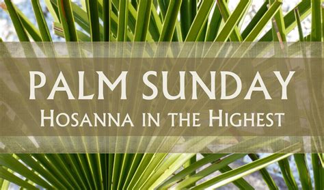 Tuscaloosa Church Palm Sunday Hosanna Corpus Christi Parish