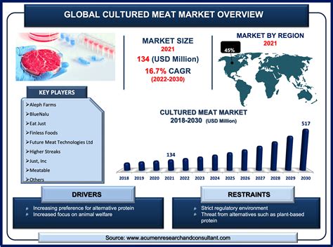 Cultured Meat Market Size Share And Trends 2030