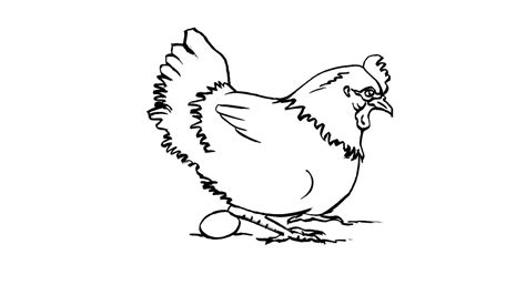 Dibujo De Gallina Para Colorear Y Pintar