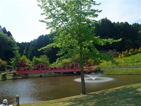 The site owner hides the web page description. 河津 湯ヶ野温泉＠福田家 - 温泉とくまとわたし