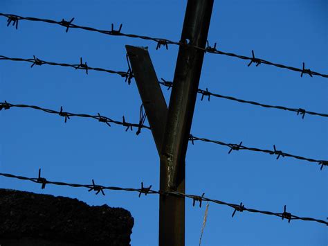 Free Images Branch Fence Barbed Wire Sky Thorn Mast Metal Blue