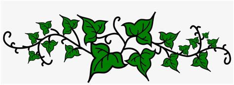 Collection Of Free Svg Files Ivy Leaf On Ubisafe Ivy Clip Art Png