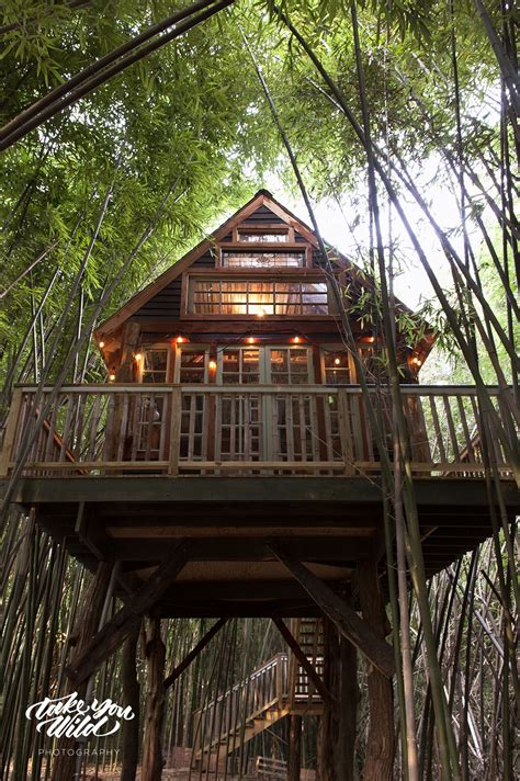 Alpaca Treehouse In The Bamboo Forest For Rent On Airbnb Tree House