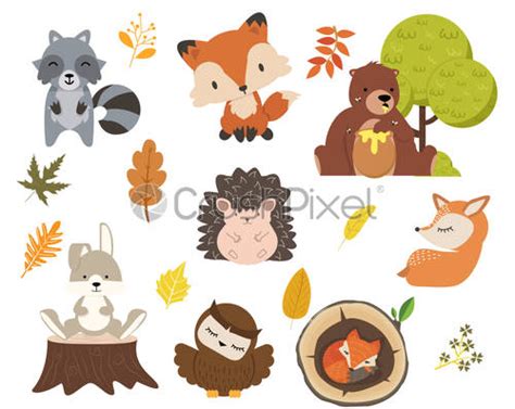 Cute Woodland Forest Animals Cartoon Character Background Stock
