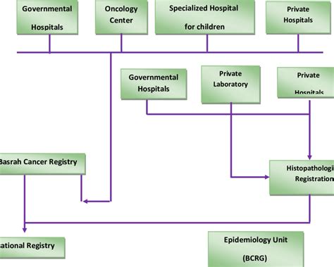 Flow Chart For Cancer Registration In Basrah With Kind Permission Of Download Scientific