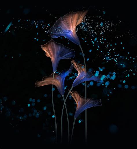 1920x1080px 1080p Free Download Abstract Flowers Plants Dark