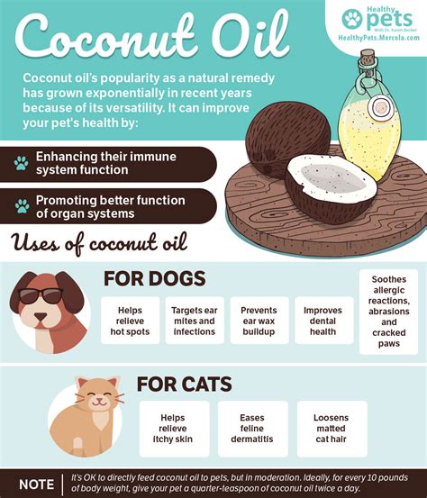 Therefore, it is unwise to use shampoos meant for. Can You Put Coconut Oil On Dogs Dry Skin - DogWalls