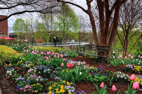 Sc (myr) nashville, tn (nsh). Spring Garden Falls Park Greenville SC Stock Photo - Image ...