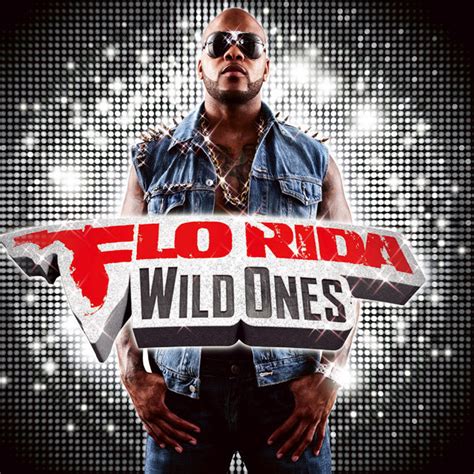 Flo Rida フロー・ライダー「wild Ones〈new Edition〉 俺たちワイルド・ワンズ（最強ワイルド版