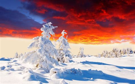Wallpaper Beautiful Winter Sunset Landscape