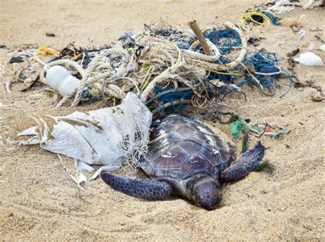 Plastic Pollution Over 250000 Tons Afloat At Sea The