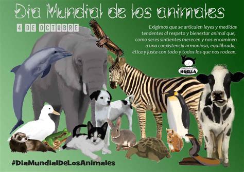 4 De Octubre Día Mundial De Los Animales Dejando Huella Albacete
