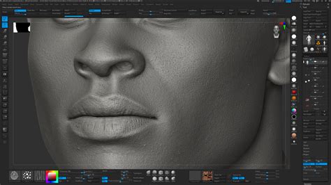 Fast Photorealistic Body Texturing Using Scan Data By James Busby