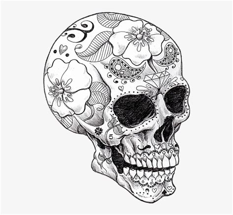 When i received it, i thought this is kind of cool … but weird, and so i passed up the opportunity. Vector Library Library Cool Art Skeletons And Spell ...