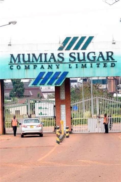 Rai Billionaire Brothers Now Battle Over Mumias Business Daily