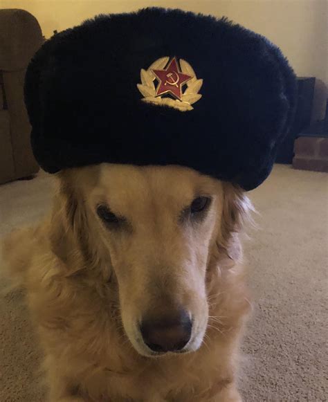 Communist Doggo Rdogswearinghats