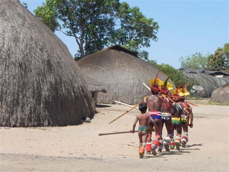 56 Anos Da Reserva Do Parque Nacional Do Xingu E As Demarcações De